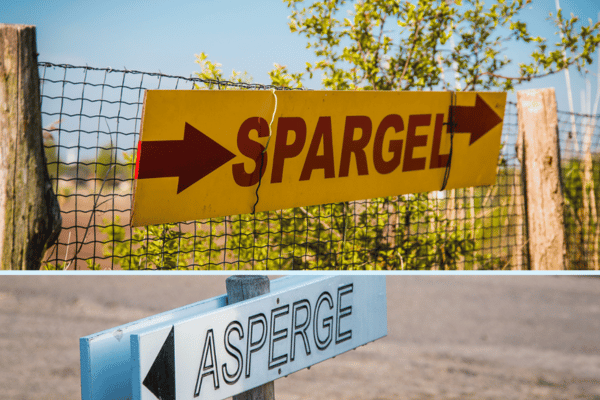 Asparagus Bike tour: A taste of the border area!