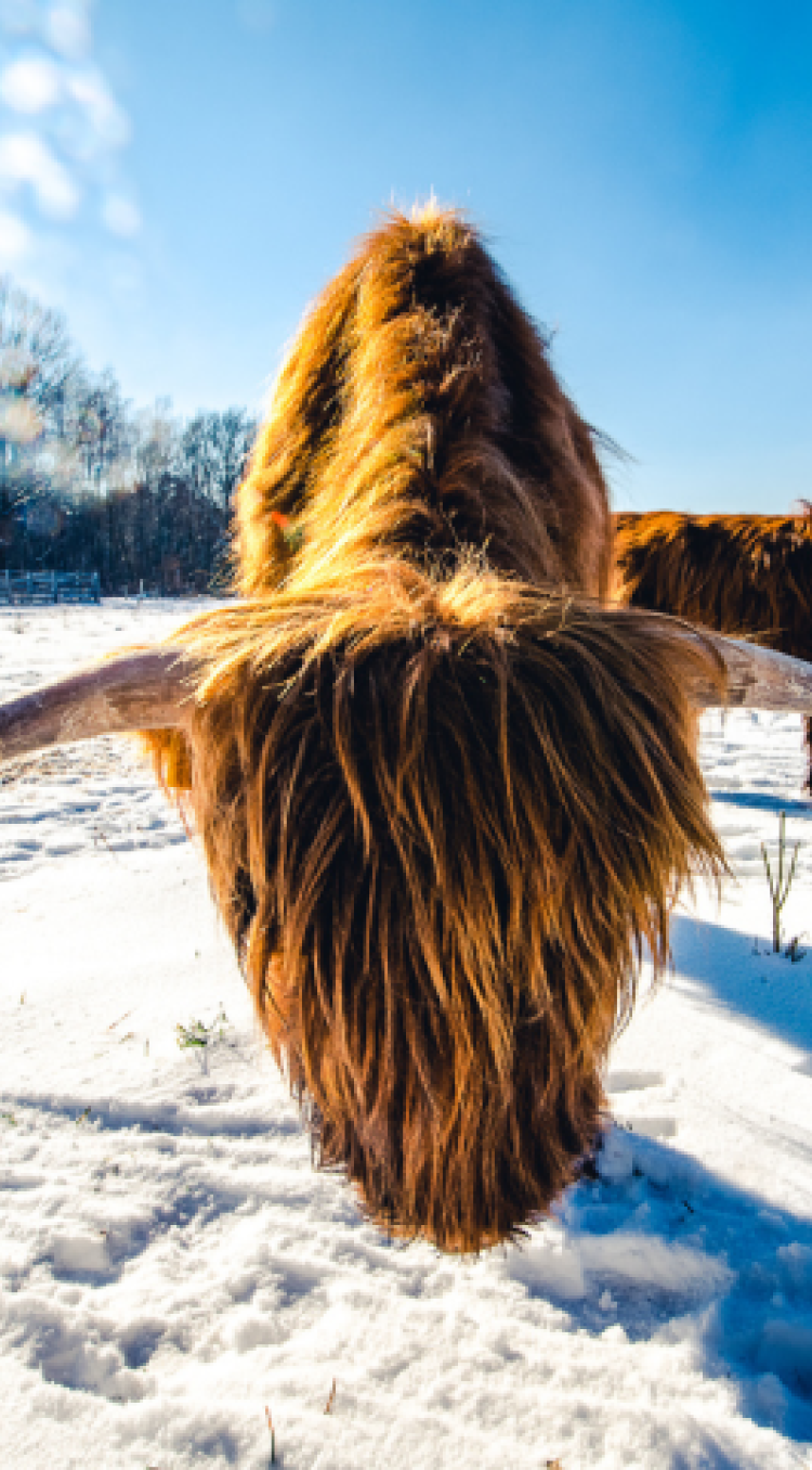 Waar je de natuur nog puur beleeft 